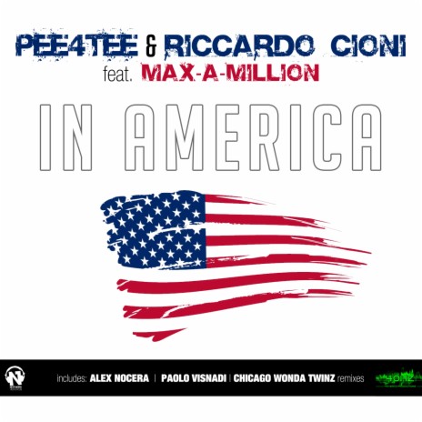 In America (Visnadi Remix Radio Edit) ft. Riccardo Cioni & Max-A-Million | Boomplay Music