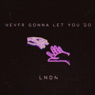 NEVER GONNA LET YOU GO