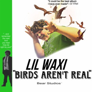 Birds Aren't Real (Volume l)