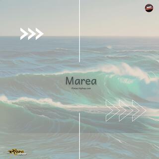 Marea