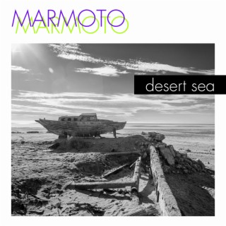 Desert Sea