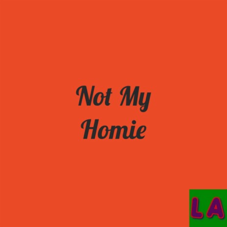 Not My Homie | Boomplay Music