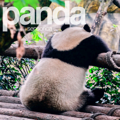 Panda Volume Two | Boomplay Music