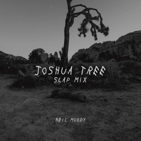 Joshua Tree '21 (Slap Mix)