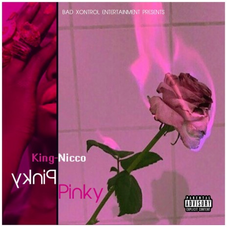 Pinky Pinky | Boomplay Music