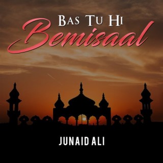 Bas Tu Hi Bemisaal