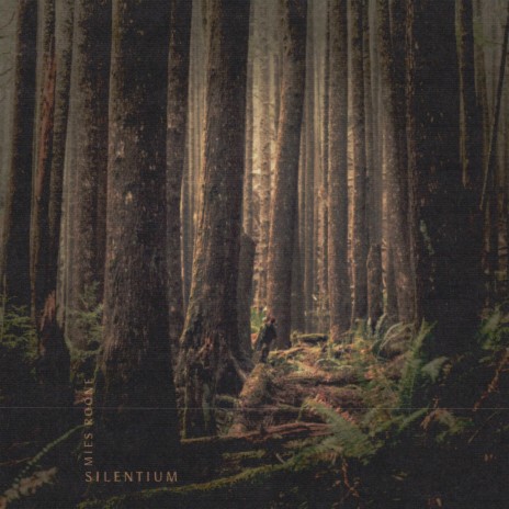 Silentium | Boomplay Music