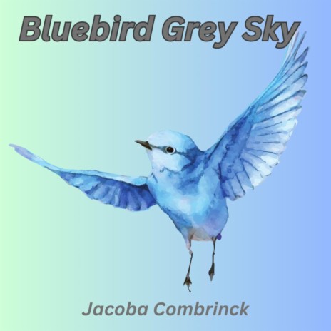 Bluebird Grey Sky | Boomplay Music