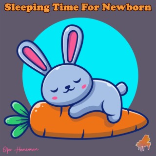 Sleeping Time For Newborn