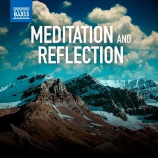 Meditation and Reflection