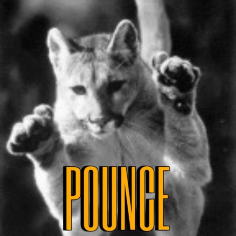 POUNCE