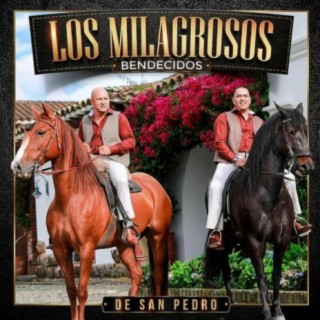 Los Milagrosos De San Pedro