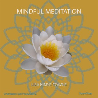 mindful meditations