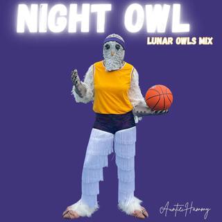 Night Owl (Lunar Owls Mix)