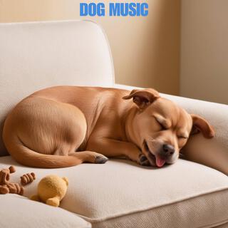 Calming Music For Dogs & Relaxing Music for Dog Anxiety and Deep Sleep