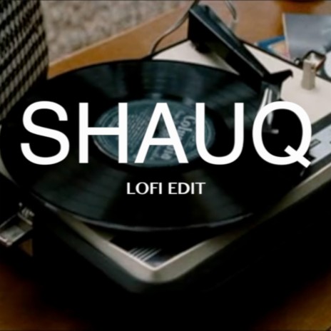 Shauq Lofi (Radio Edit) | Boomplay Music