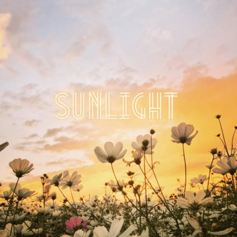 Sunlight | Boomplay Music