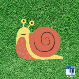 Snail