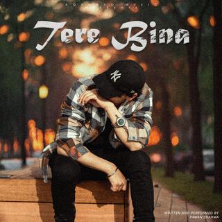 Tere Bina