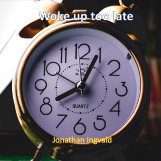 Woke Up Too Late lyrics | Boomplay Music