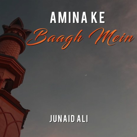 Amina Ke Baagh Mein | Boomplay Music