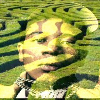 Maze (LLBig Scarr)