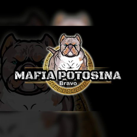 MAFIA POTOSINA (BRAVO V13) | Boomplay Music