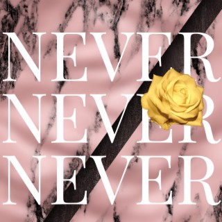 Never Never Never