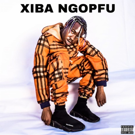 Xiba Ngopfu ft. Lab Musik, Sjaba & Shxnotheplugg