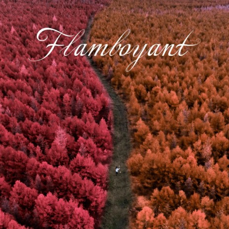 Flamboyant | Boomplay Music