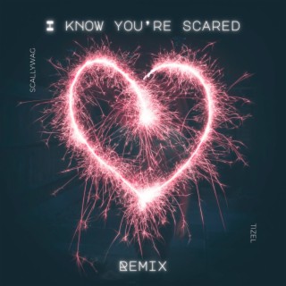 I Know You're Scared (Remix)