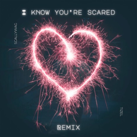 I Know You're Scared (Remix) ft. Scallywag van Rooyen | Boomplay Music