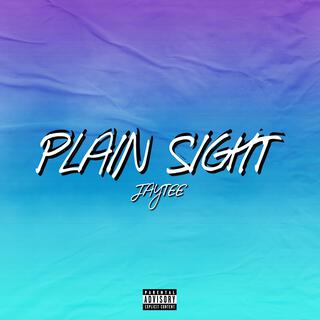 Plain Sight