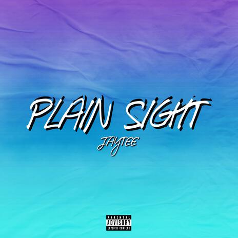 Plain Sight | Boomplay Music