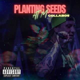 Planting Seeds Collabos
