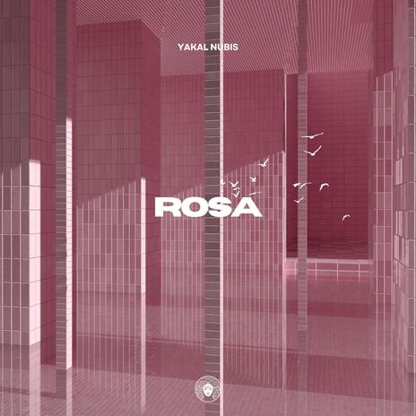 Rosa | Boomplay Music