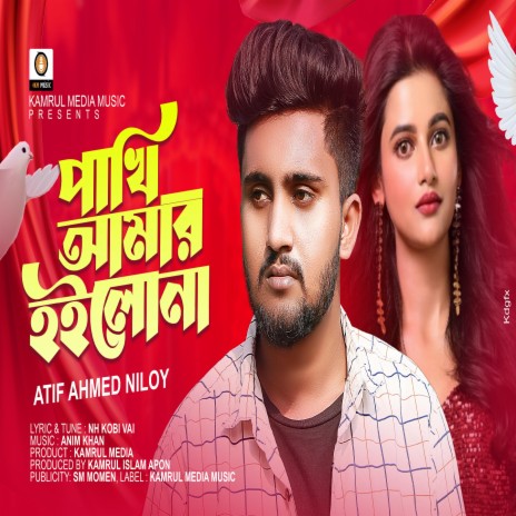 Pakhi Amar Hoilona | Boomplay Music