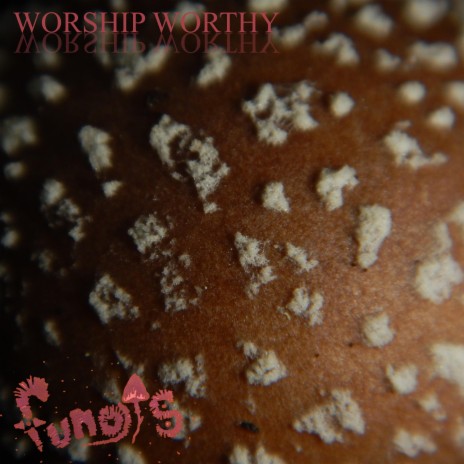 WORSHIP WORTHY | Boomplay Music