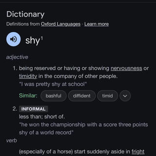 shy ft. casinodagr8 lyrics | Boomplay Music