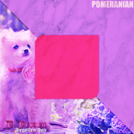 Pomeranian | Boomplay Music