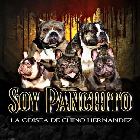 Soy Panchito | Boomplay Music