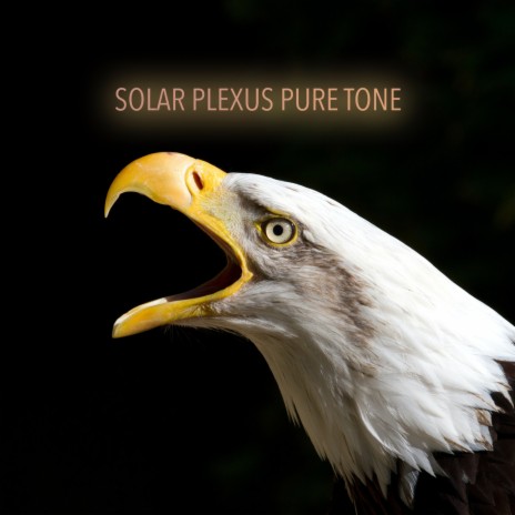 Solar Plexus Pure Tone 364 Hz | Boomplay Music