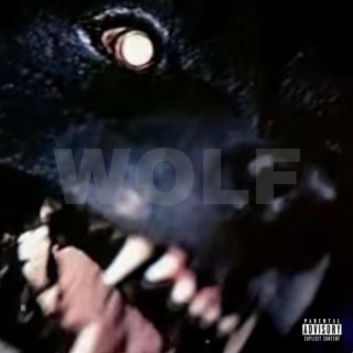 part 2 (WOLF ARCHIVE)