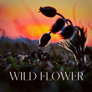 Wild Flower