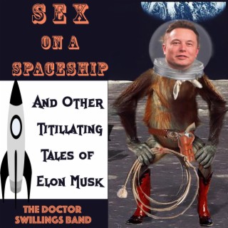 Sex on a Spaceship and Other Titillating Tales of Elon Musk