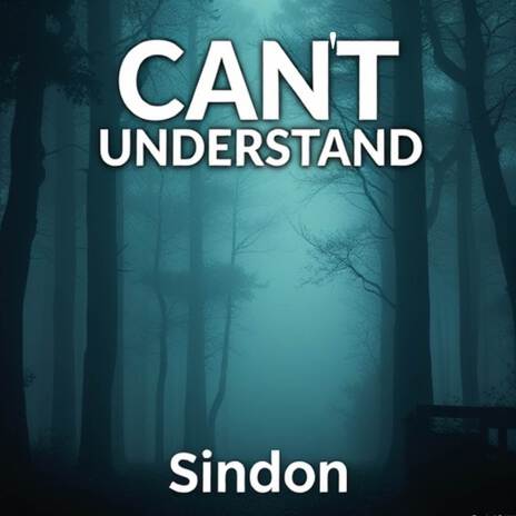 CAN'T UNDERSTAND | Boomplay Music