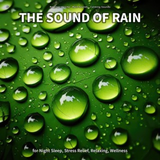 #1 The Sound of Rain for Night Sleep, Stress Relief, Relaxing, Wellness