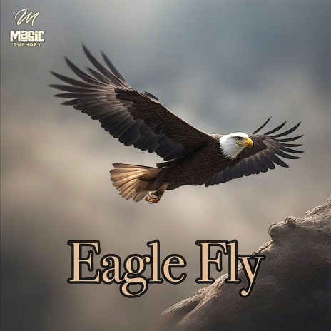 Eagle Fly | Boomplay Music