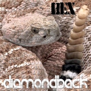 Diamondback