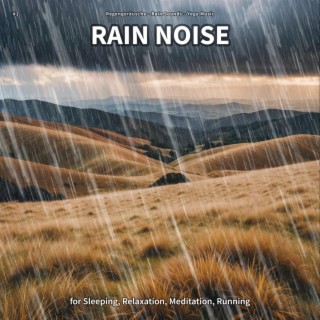 #1 Rain Noise for Sleeping, Relaxation, Meditation, Running
